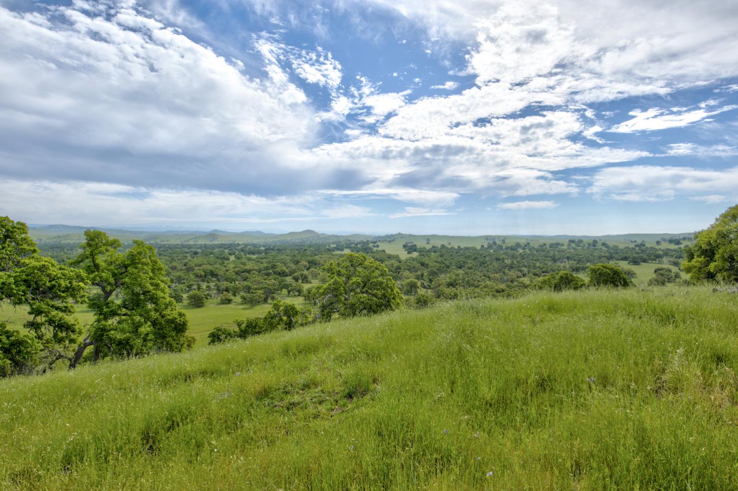 1985 White Rock Rd, Le Grand, CA 95333