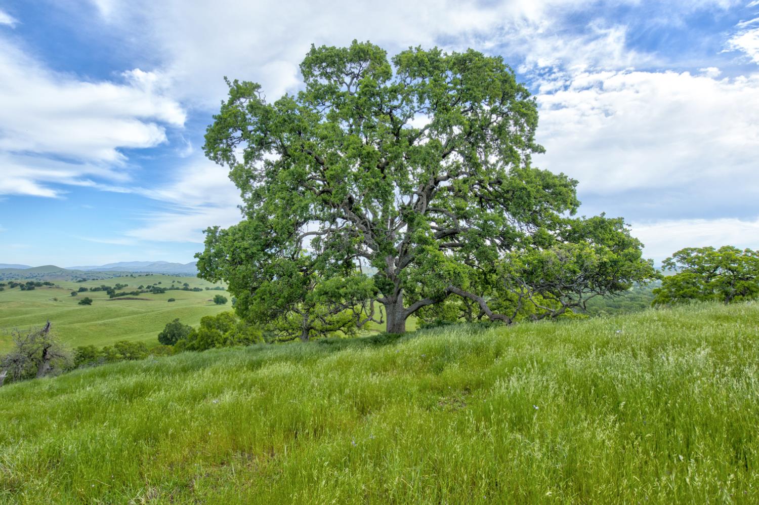 1985 White Rock Rd, Le Grand, CA 95333