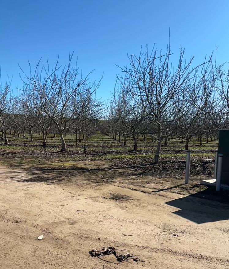875 Geer Rd, Modesto, CA 95357