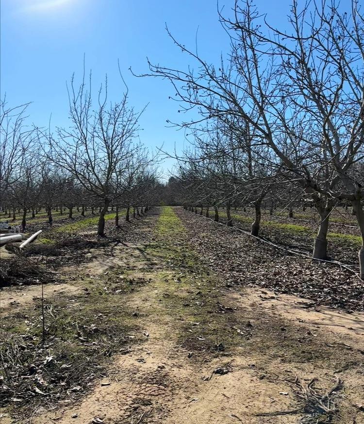 875 Geer Rd, Modesto, CA 95357