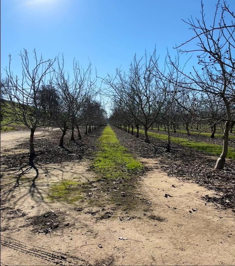 875 Geer Rd, Modesto, CA 95357