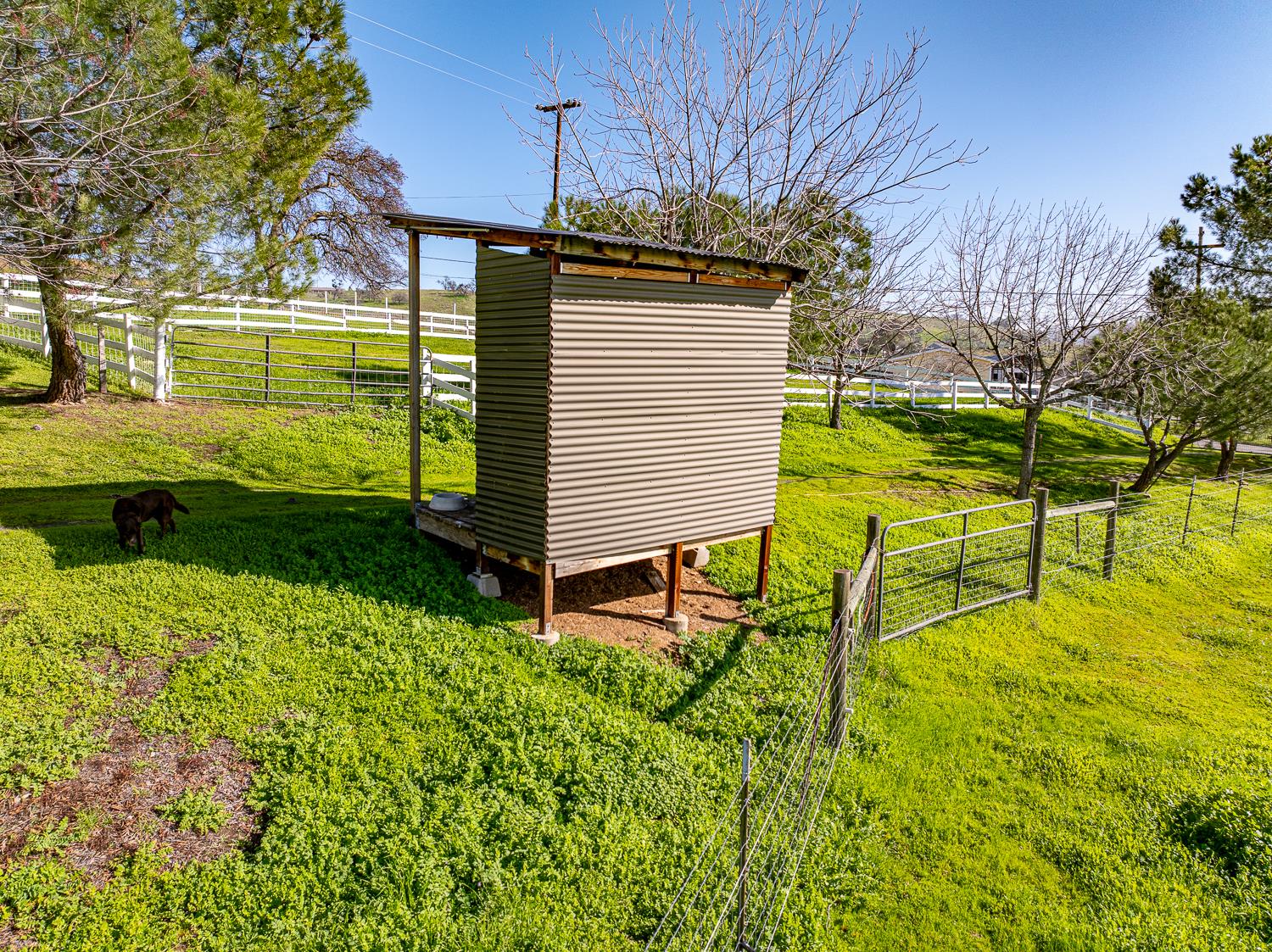 9739 Carrizo Way, La Grange, CA 95329