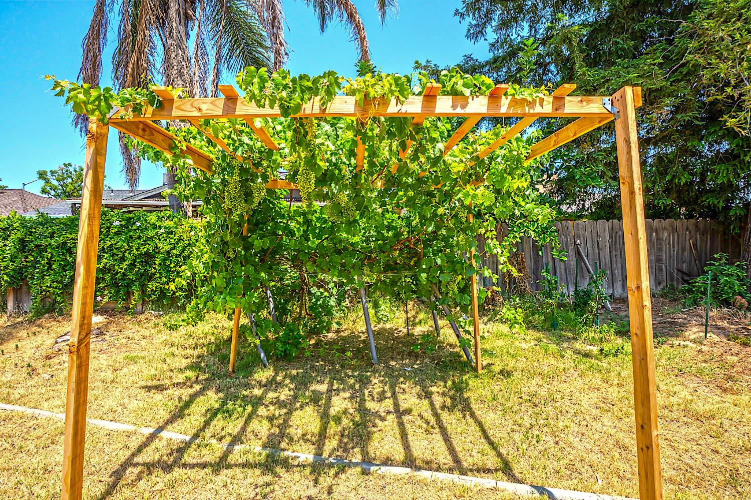 2700 Oxford Ave, Turlock, CA 95382