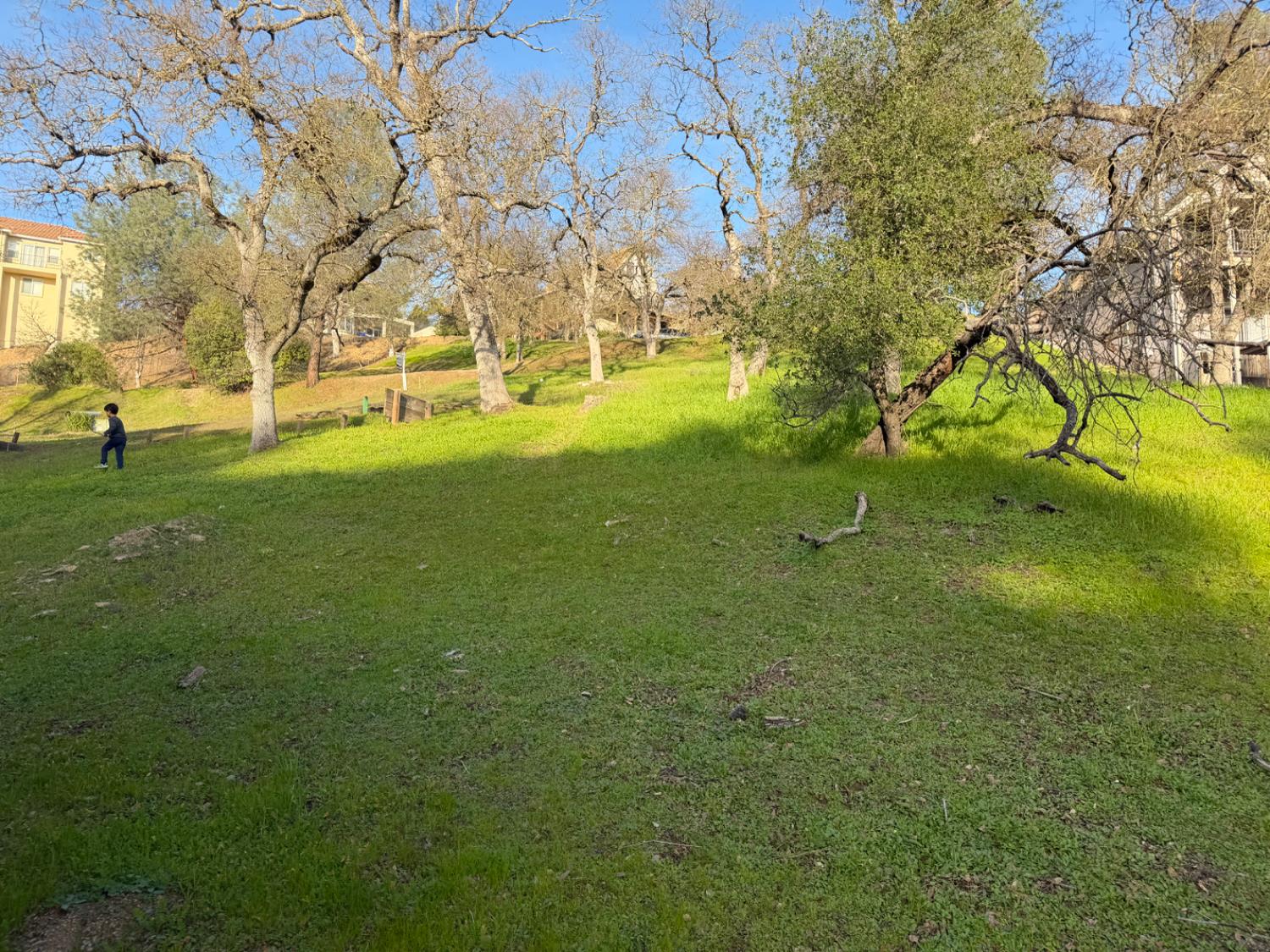 257 Thomson Ln, Copperopolis, CA 95228