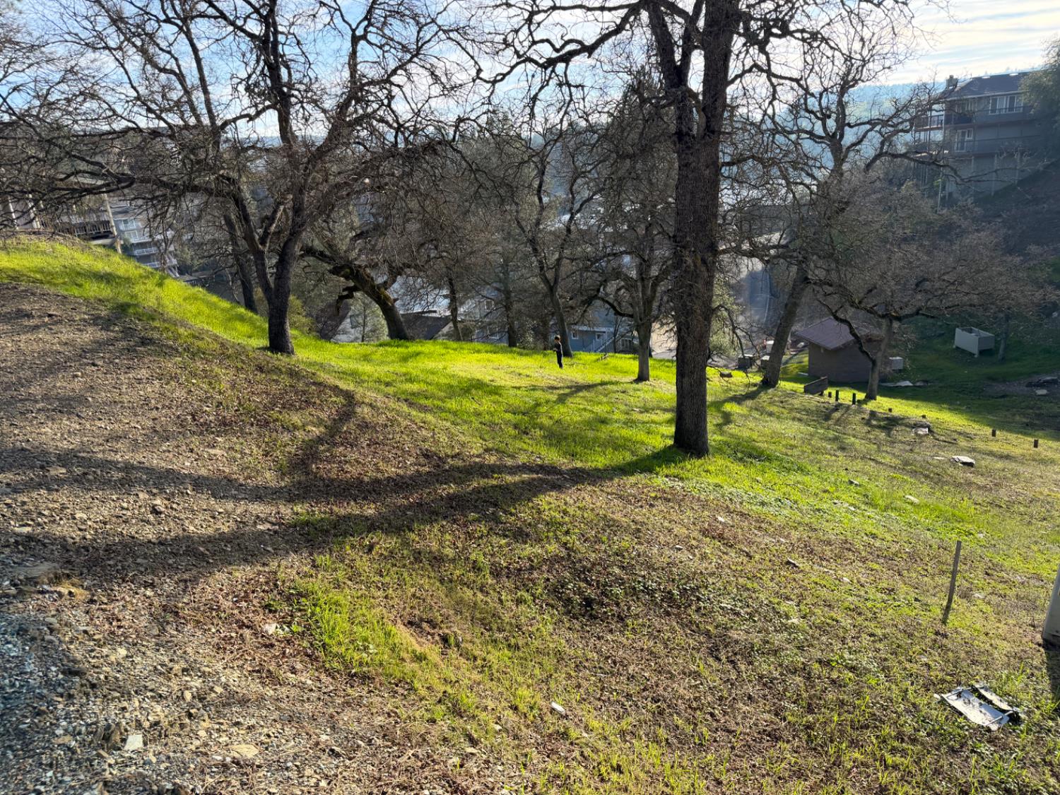 257 Thomson Ln, Copperopolis, CA 95228