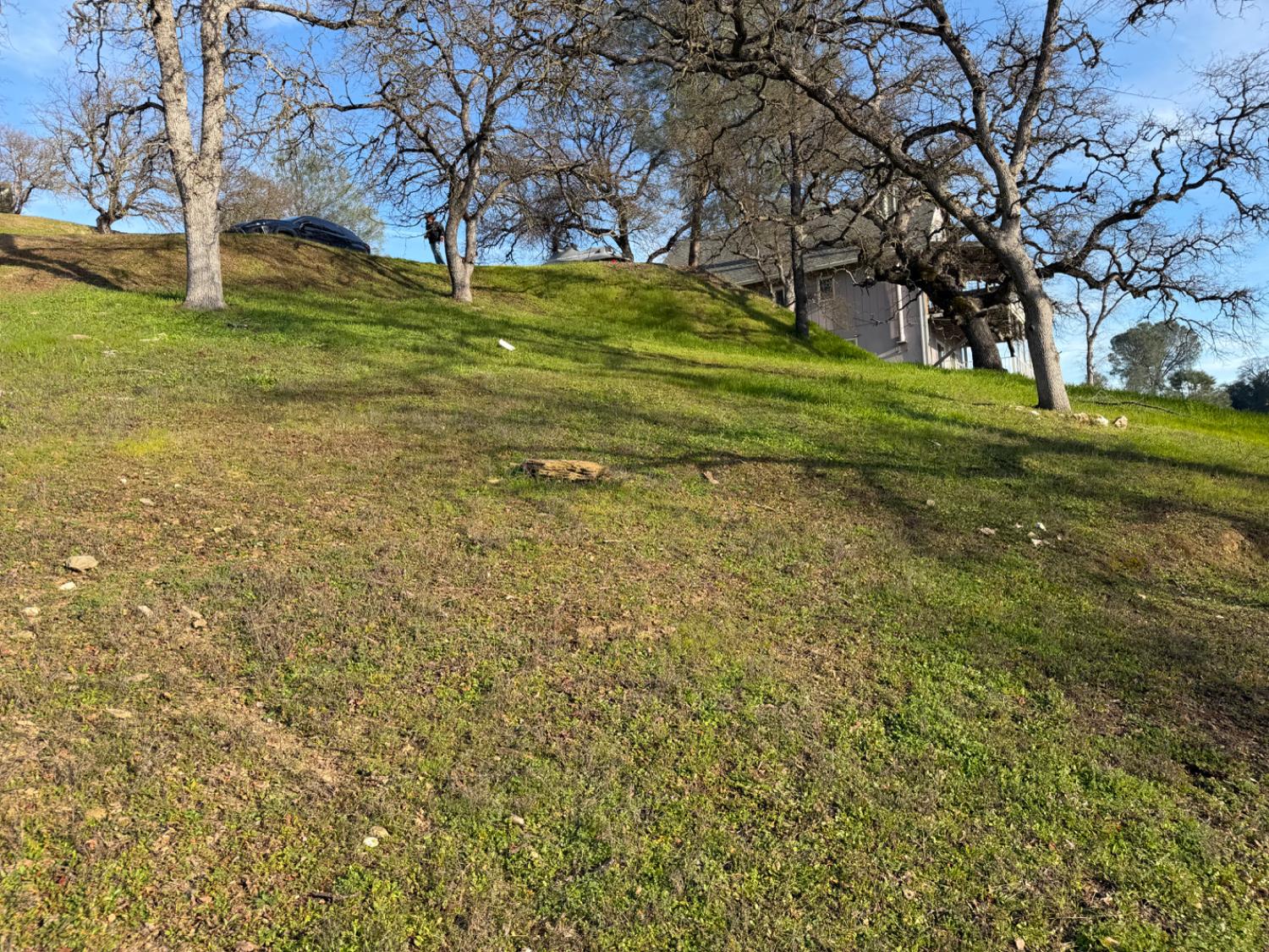 257 Thomson Ln, Copperopolis, CA 95228