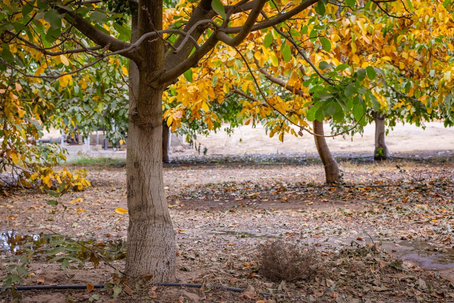 24608 Yosemite Blvd, Waterford, CA 95386