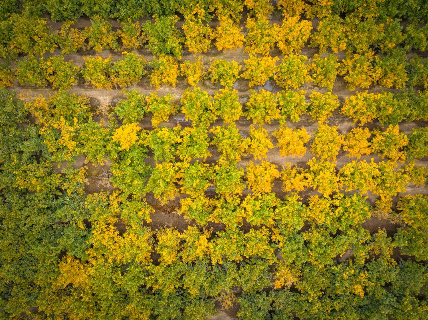 24608 Yosemite Blvd, Waterford, CA 95386