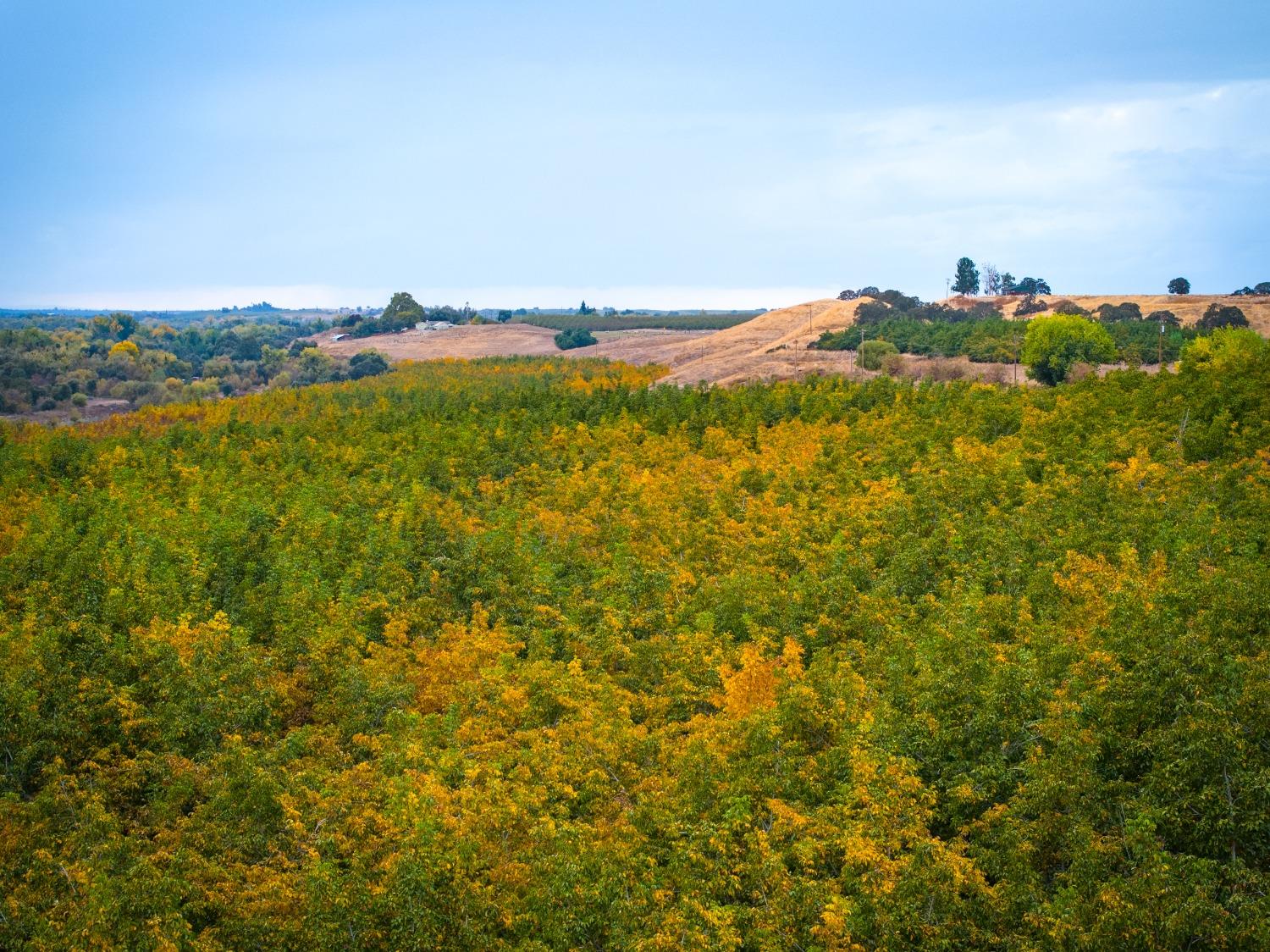 24608 Yosemite Blvd, Waterford, CA 95386