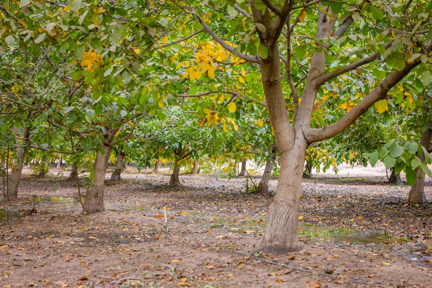 24608 Yosemite Blvd, Waterford, CA 95386