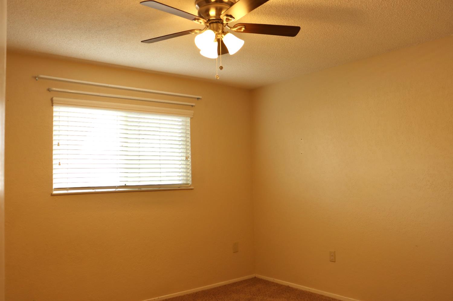 1217 Princeton Pl, Manteca, CA 95336