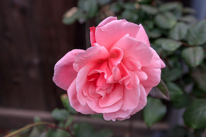 909 Mount Vernon Dr, Modesto, CA 95350