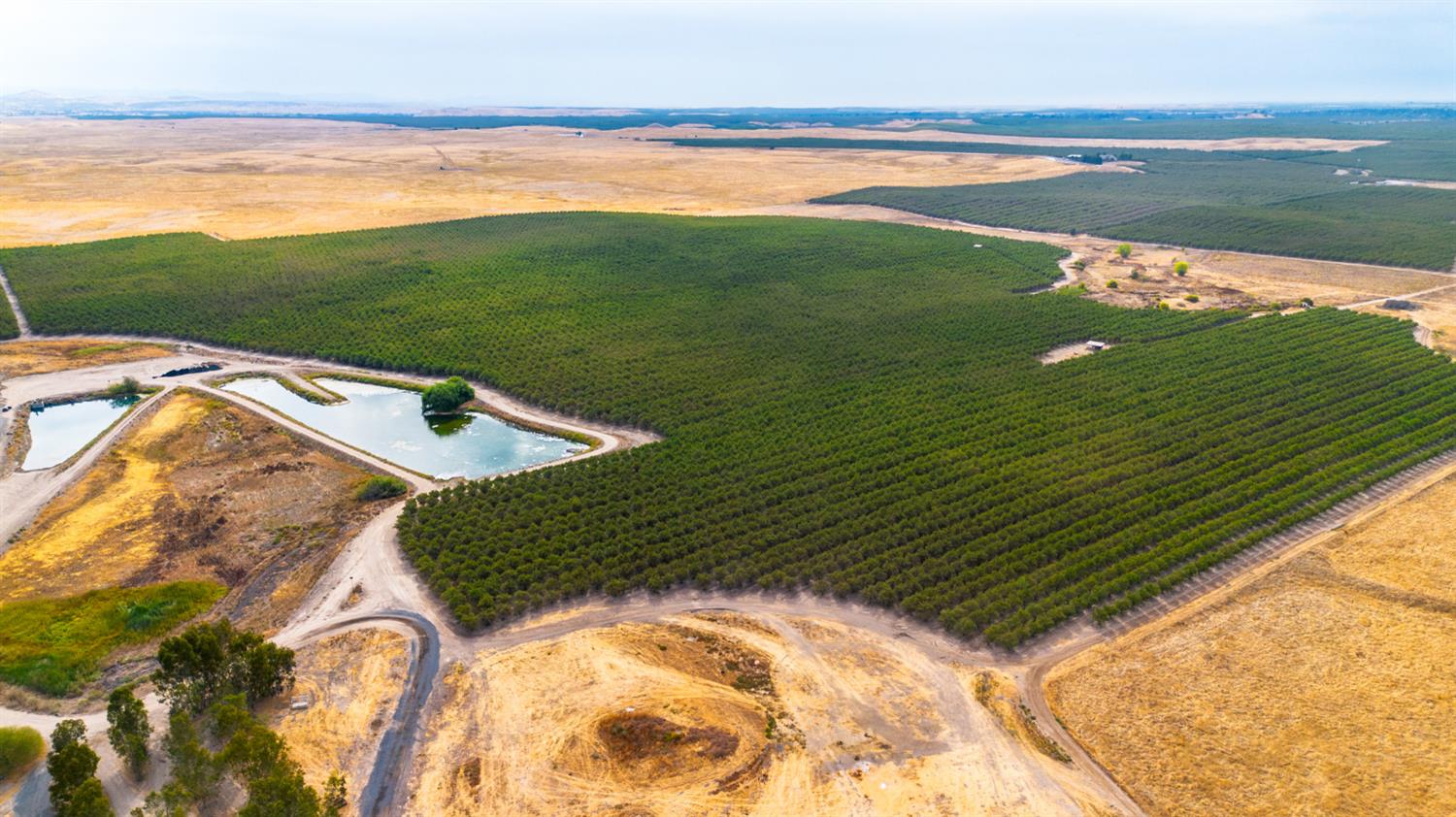 28 Mile Rd, Oakdale, CA 95361