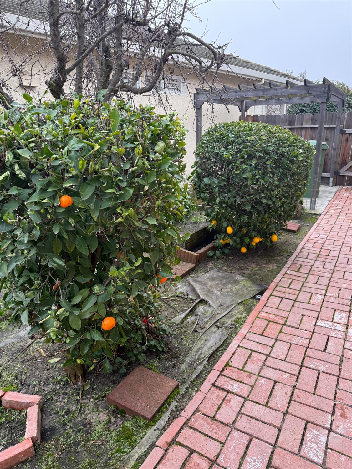 3350 Spring Garden Dr, Turlock, CA 95382