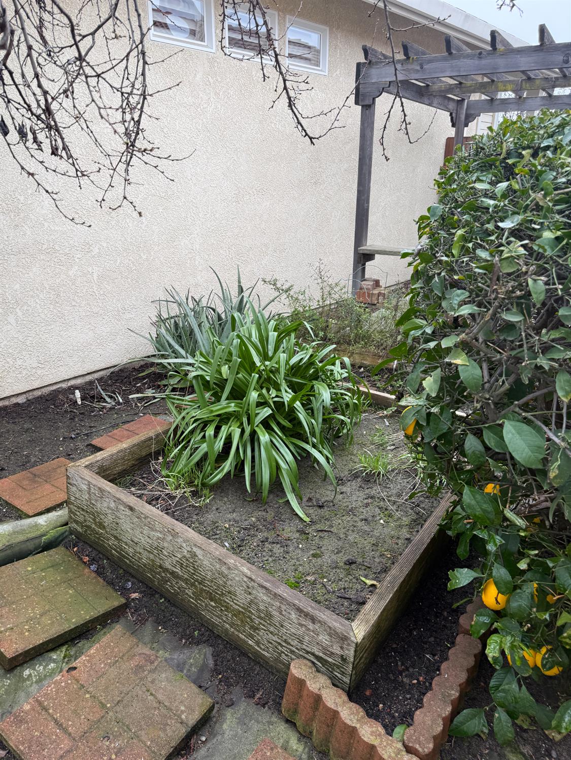 3350 Spring Garden Dr, Turlock, CA 95382