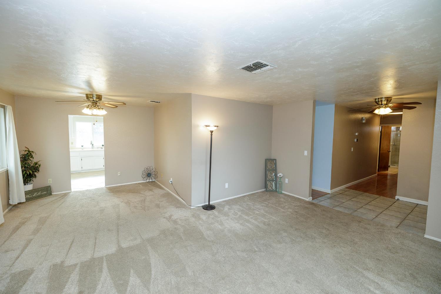 495 Valdapena Way, Escalon, CA 95320