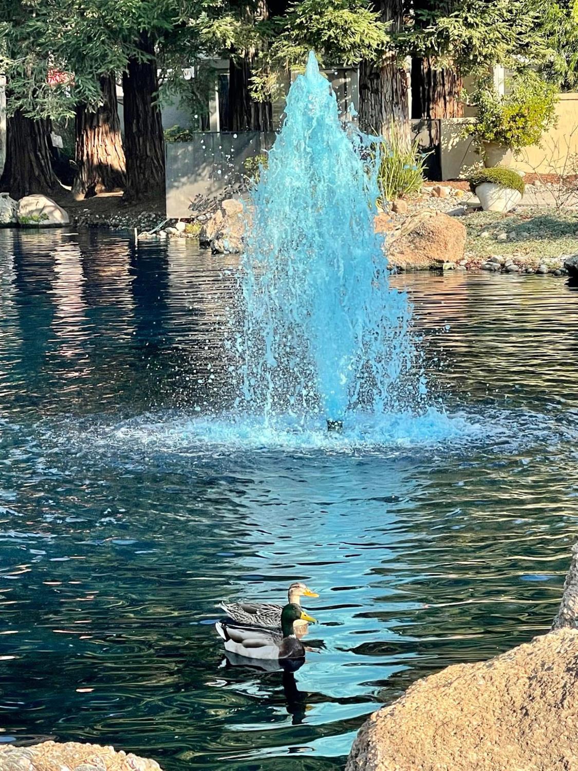 1040 Copper Park Ln, Modesto, CA 95355