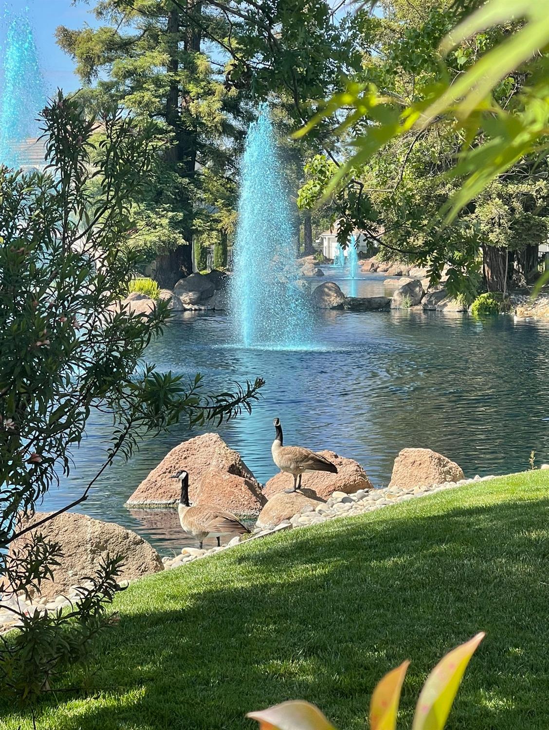 1040 Copper Park Ln, Modesto, CA 95355