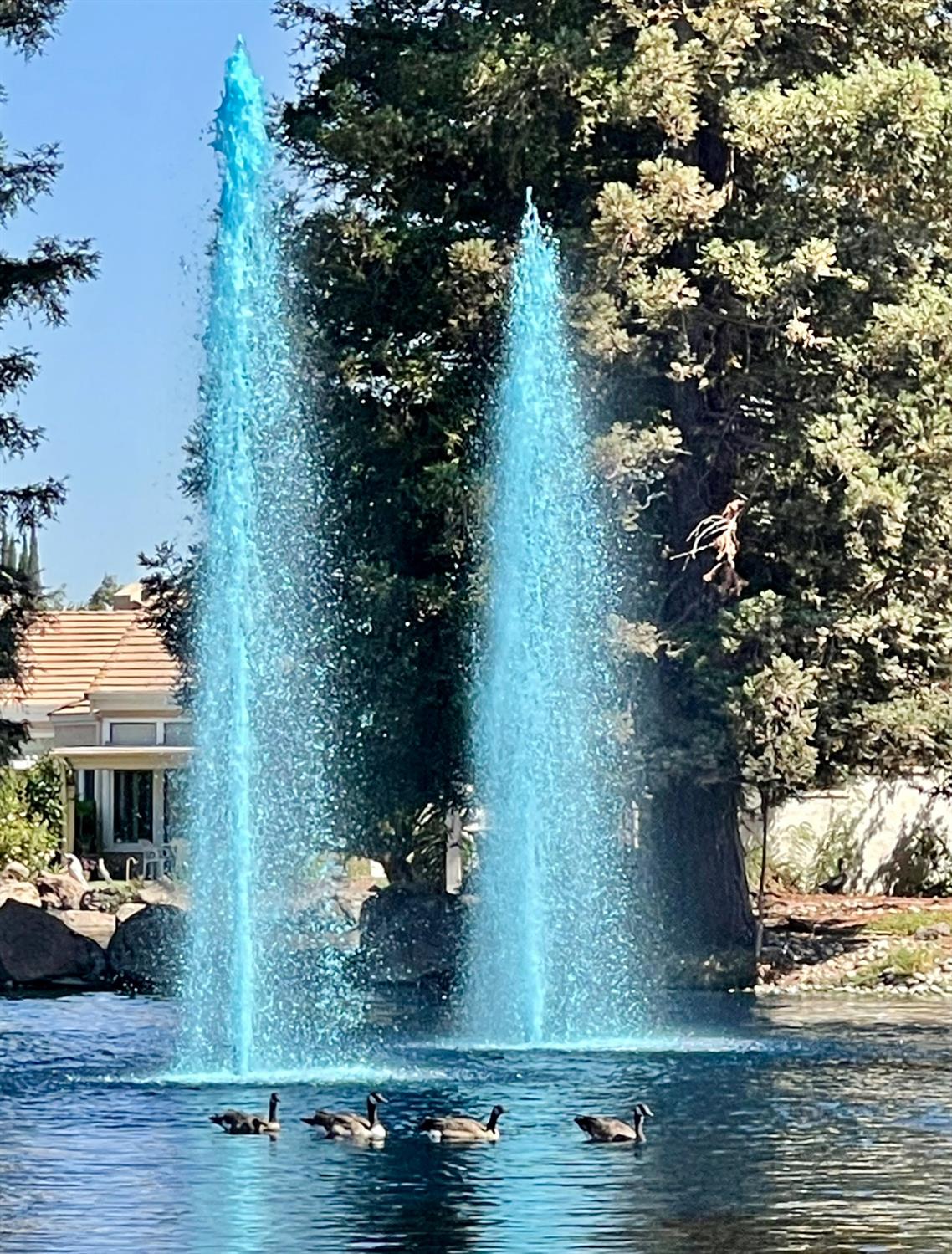 1040 Copper Park Ln, Modesto, CA 95355