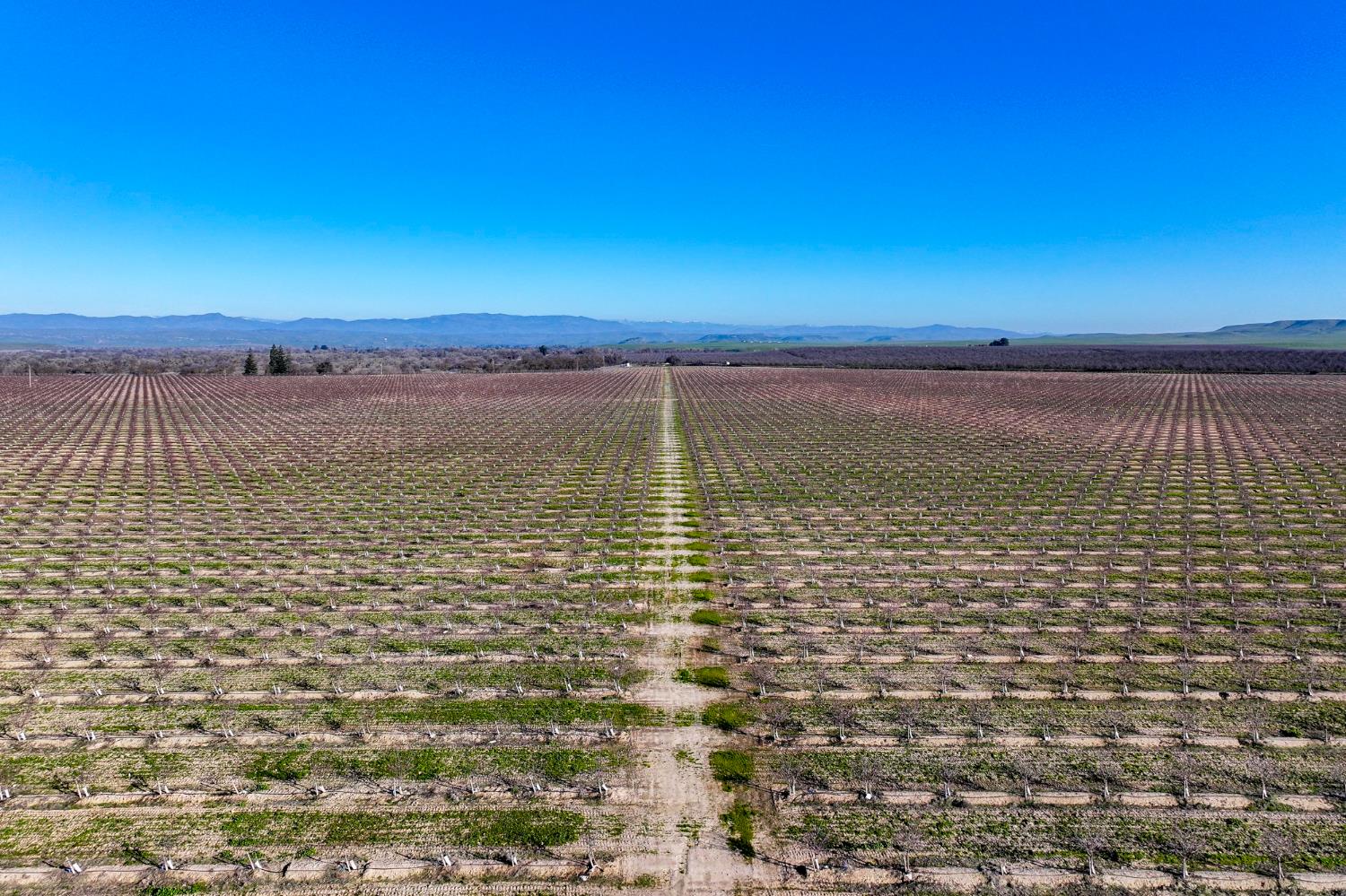 15116 N Allen Rd, Snelling, CA 95369