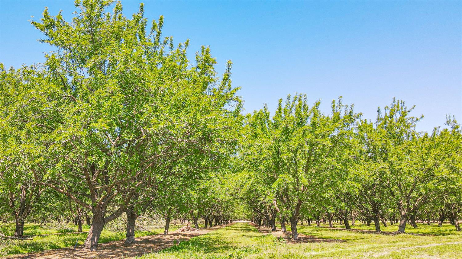 19688 SANTA FE, Escalon, CA 95320