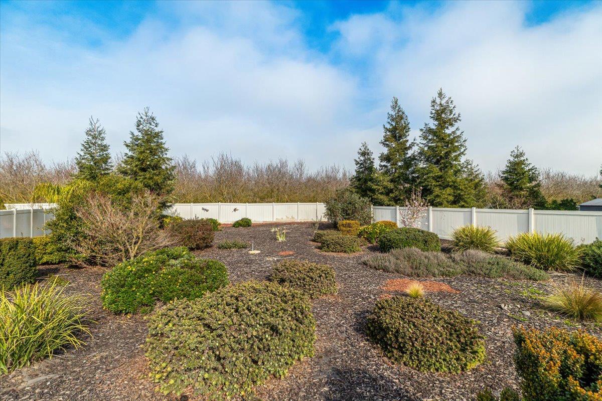 1491 Arbor Brook Dr, Manteca, CA 95336