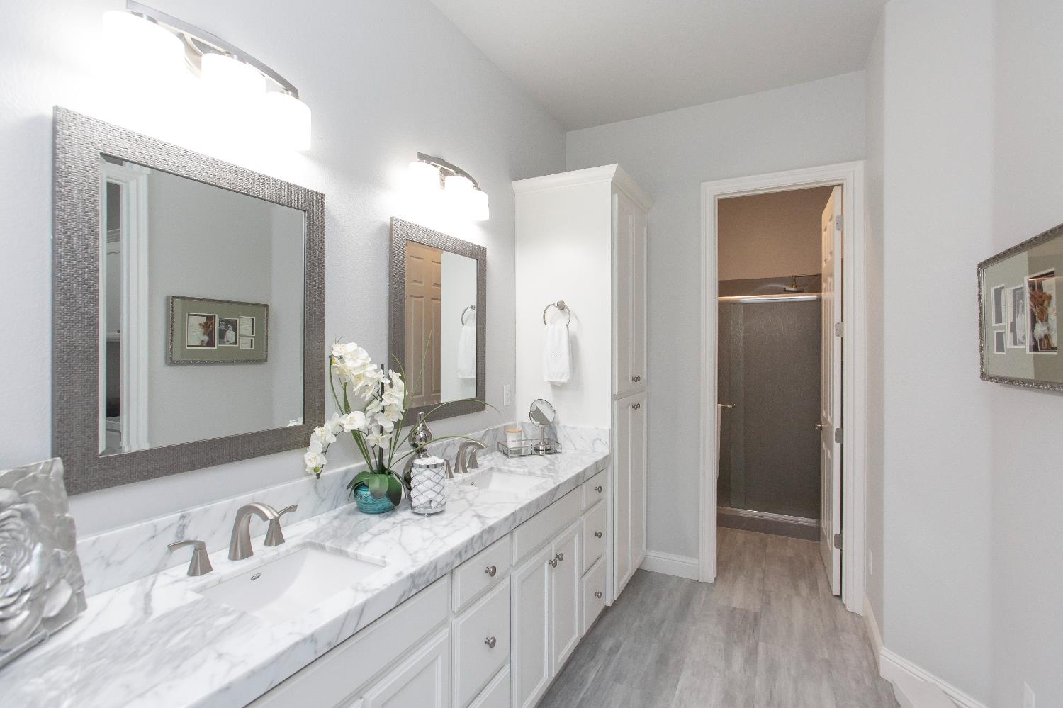 2470 Sea Lion Way, Turlock, CA 95380