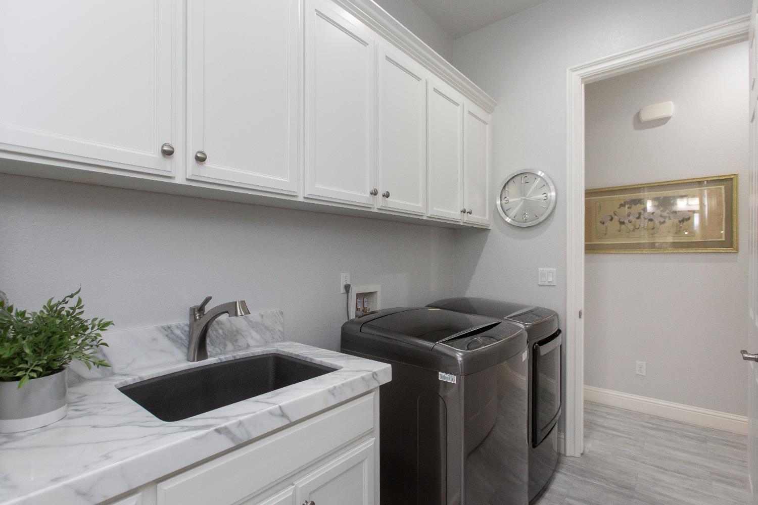 2470 Sea Lion Way, Turlock, CA 95380