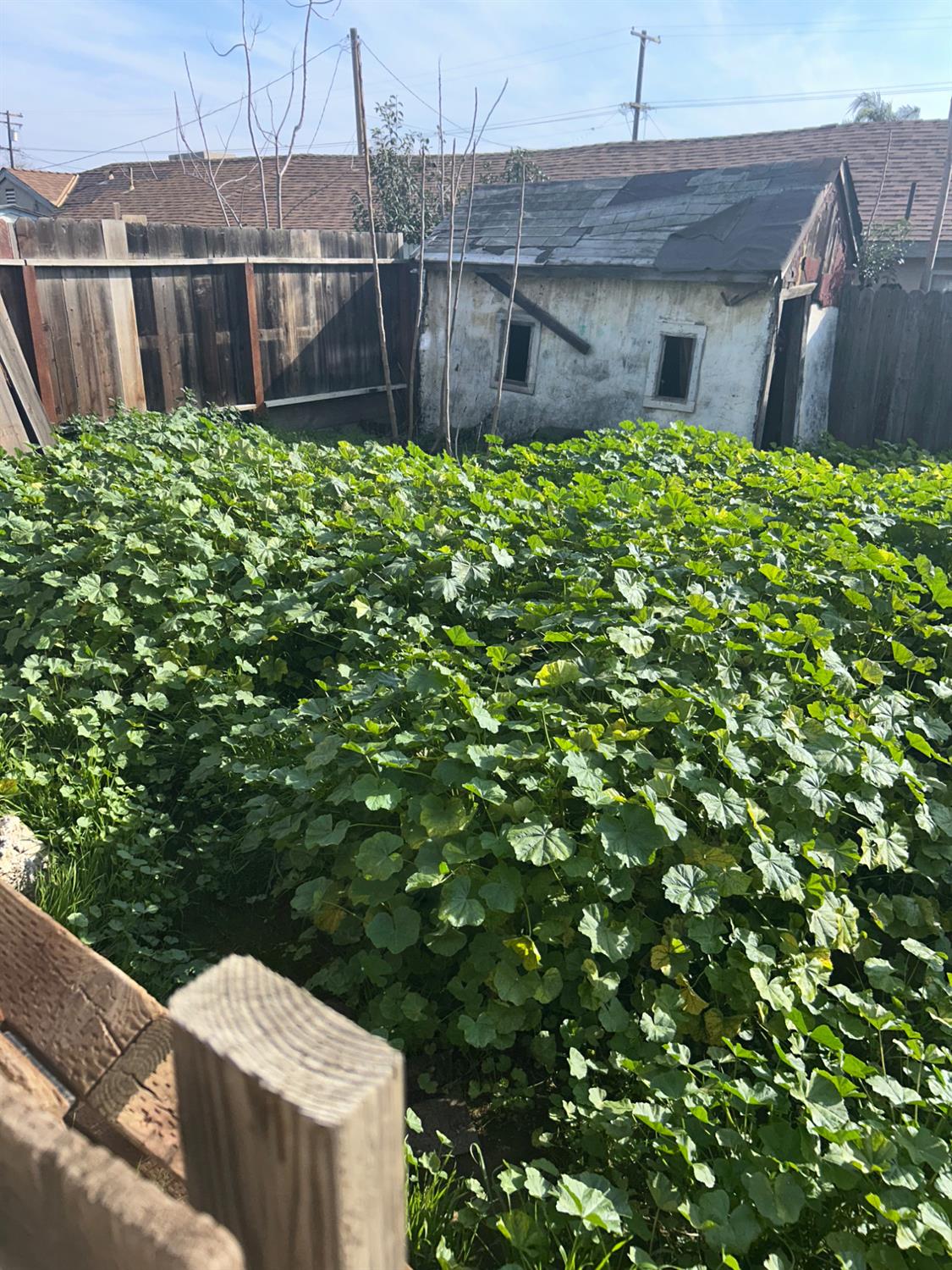 1820 Kenneth St, Modesto, CA 95351