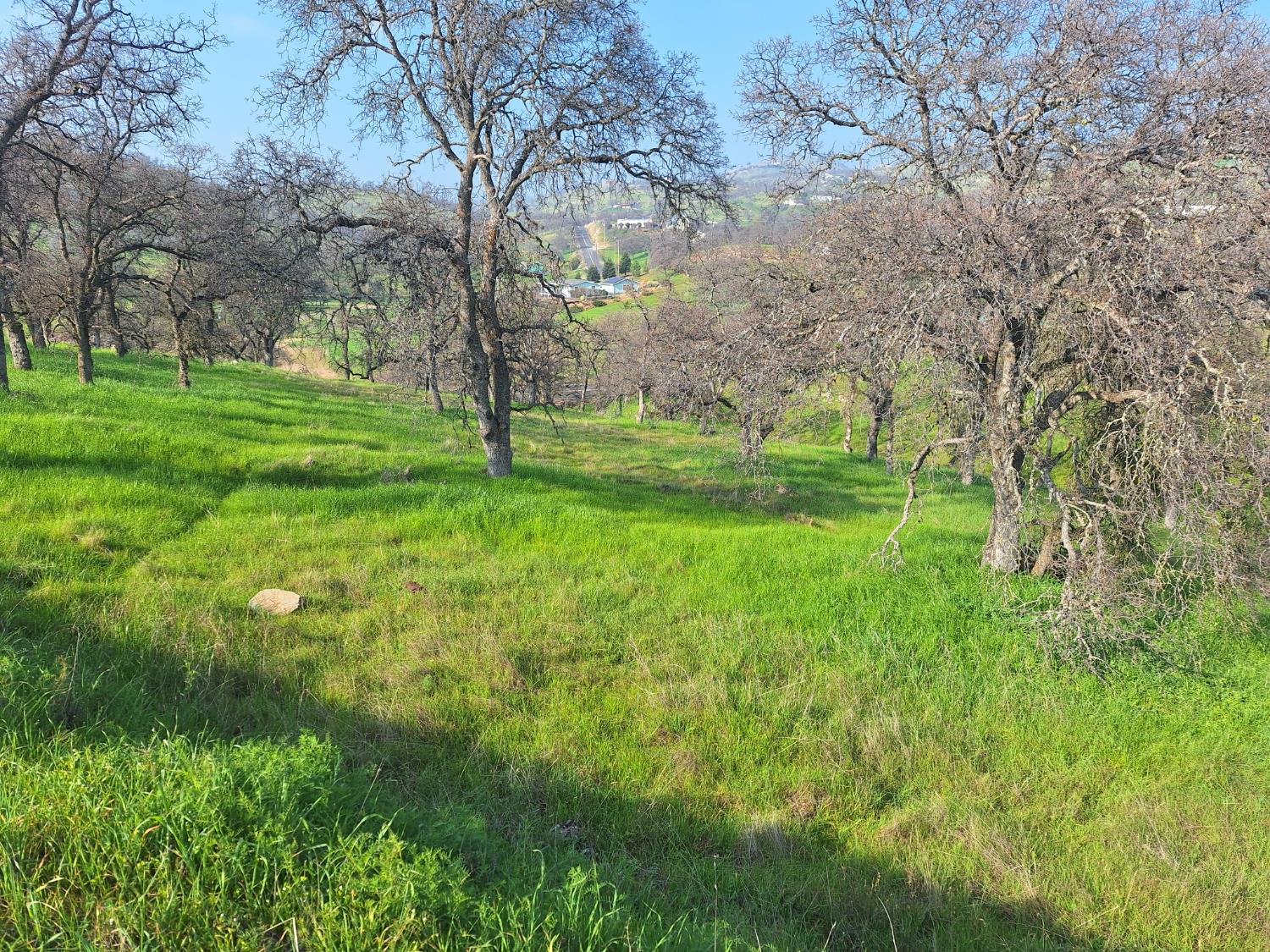 9000 Capullo Cir, La Grange, CA 95329