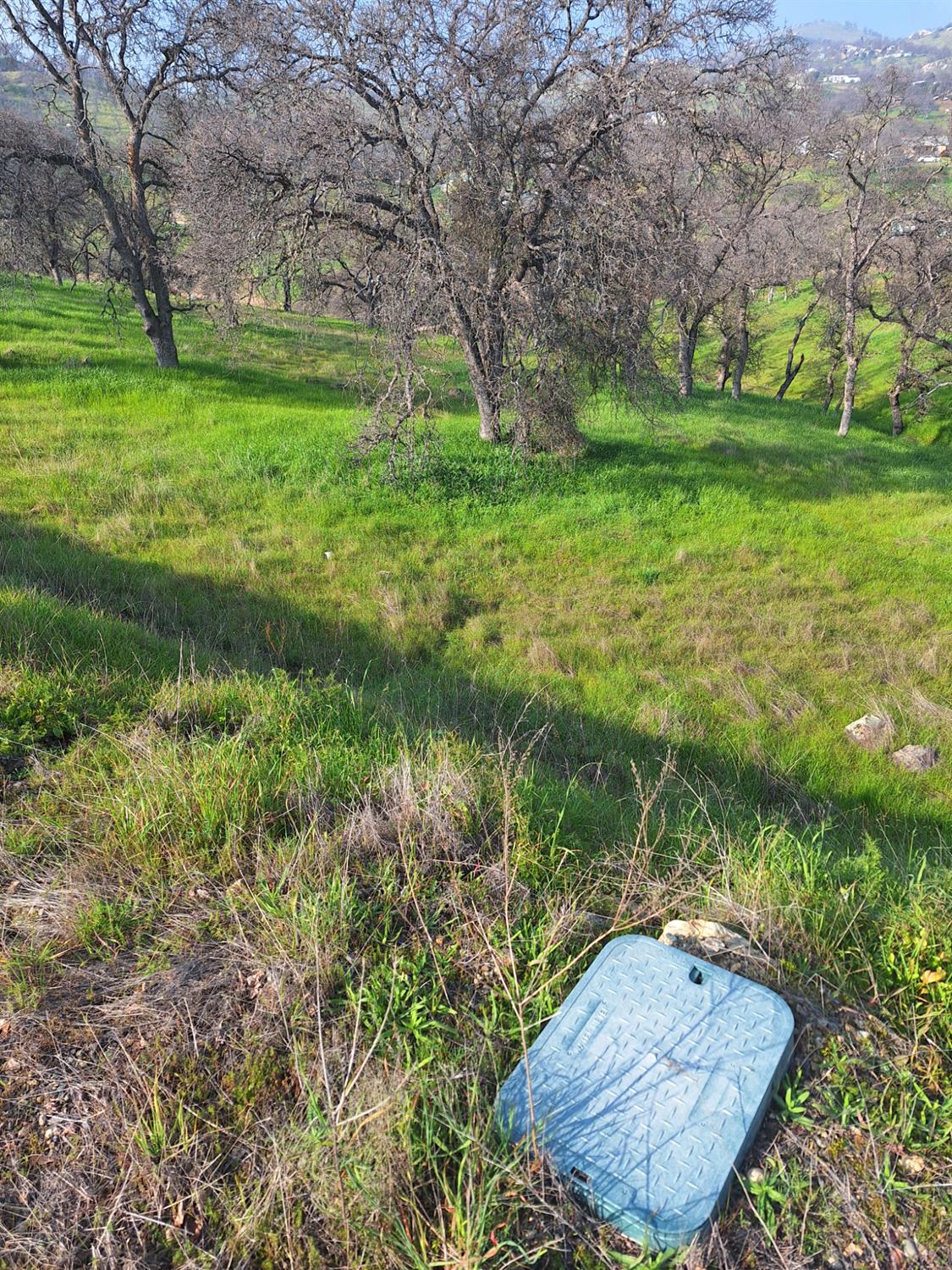 9000 Capullo Cir, La Grange, CA 95329