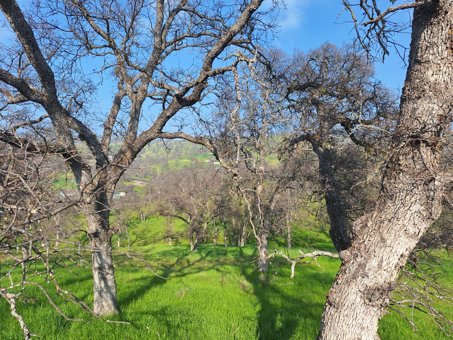 9000 Capullo Cir, La Grange, CA 95329