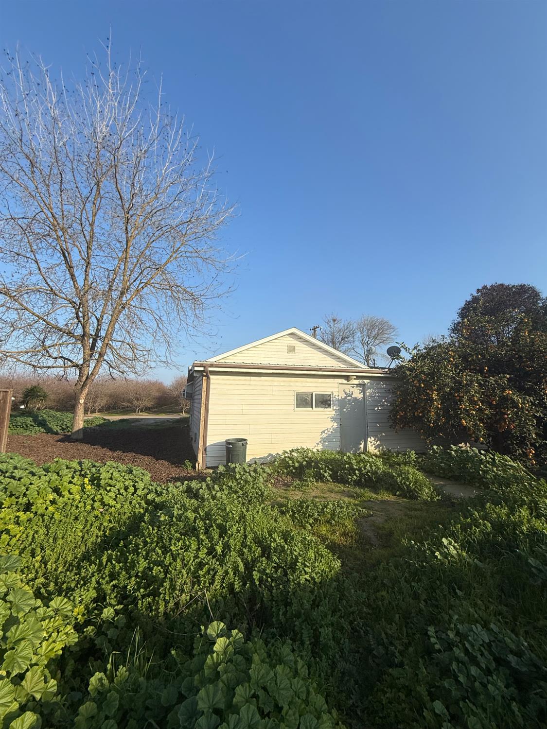 16641 Colony St, Dos Palos, CA 93620