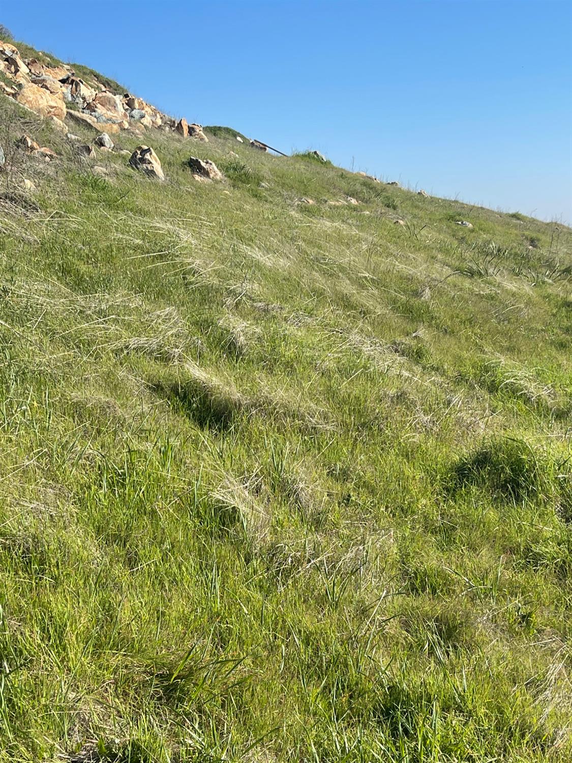 9349 Lazo Way, La Grange, CA 95329