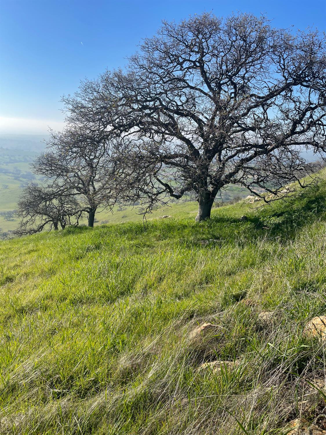 9349 Lazo Way, La Grange, CA 95329