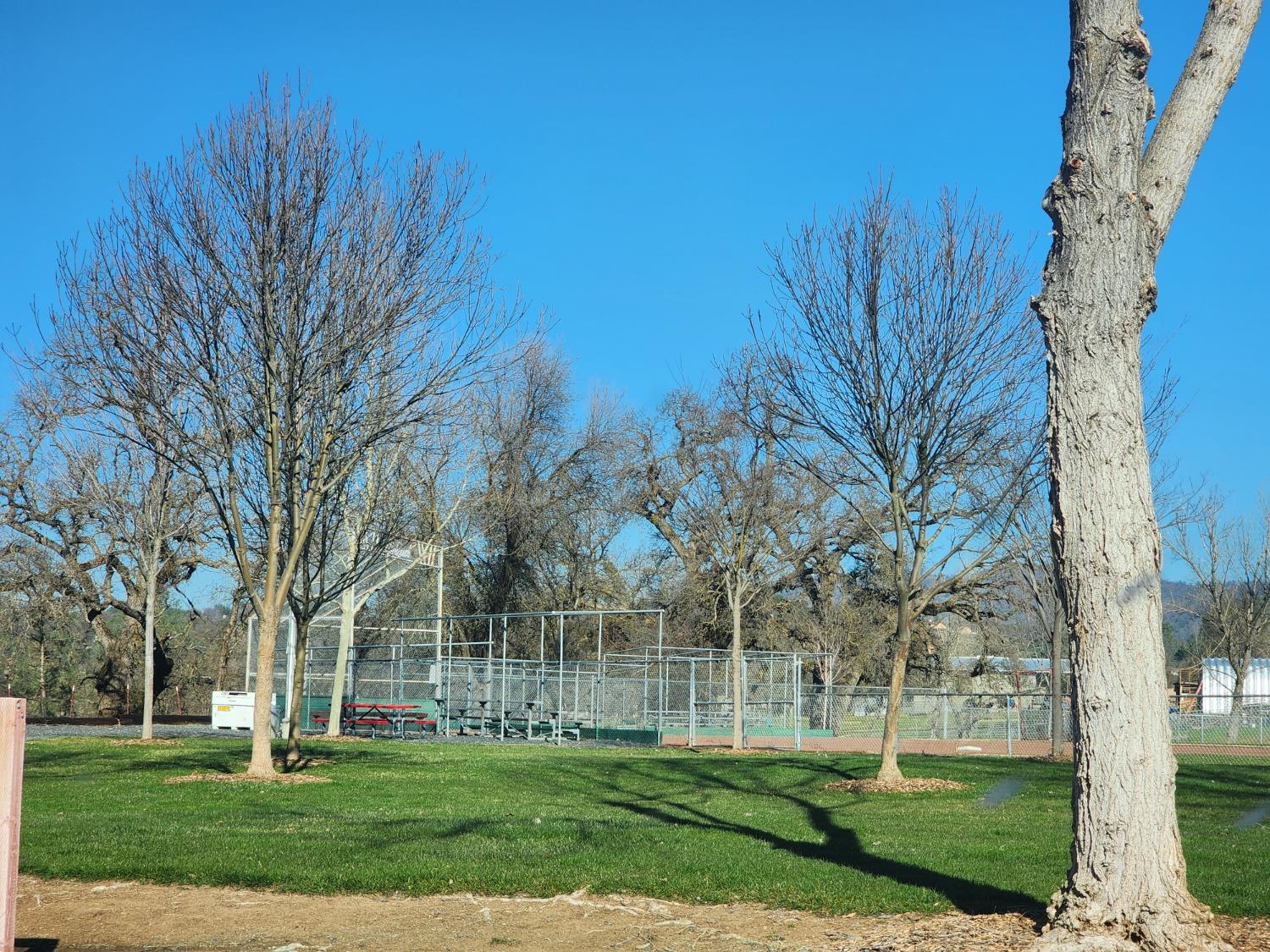 4833 Pueblo Trl, Copperopolis, CA 95228