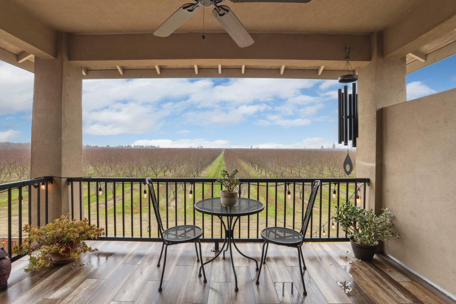 23346 S Frederick Rd, Ripon, CA 95366