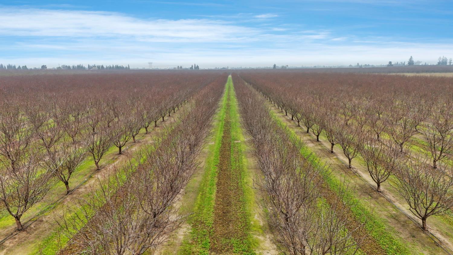 23346 S Frederick Rd, Ripon, CA 95366