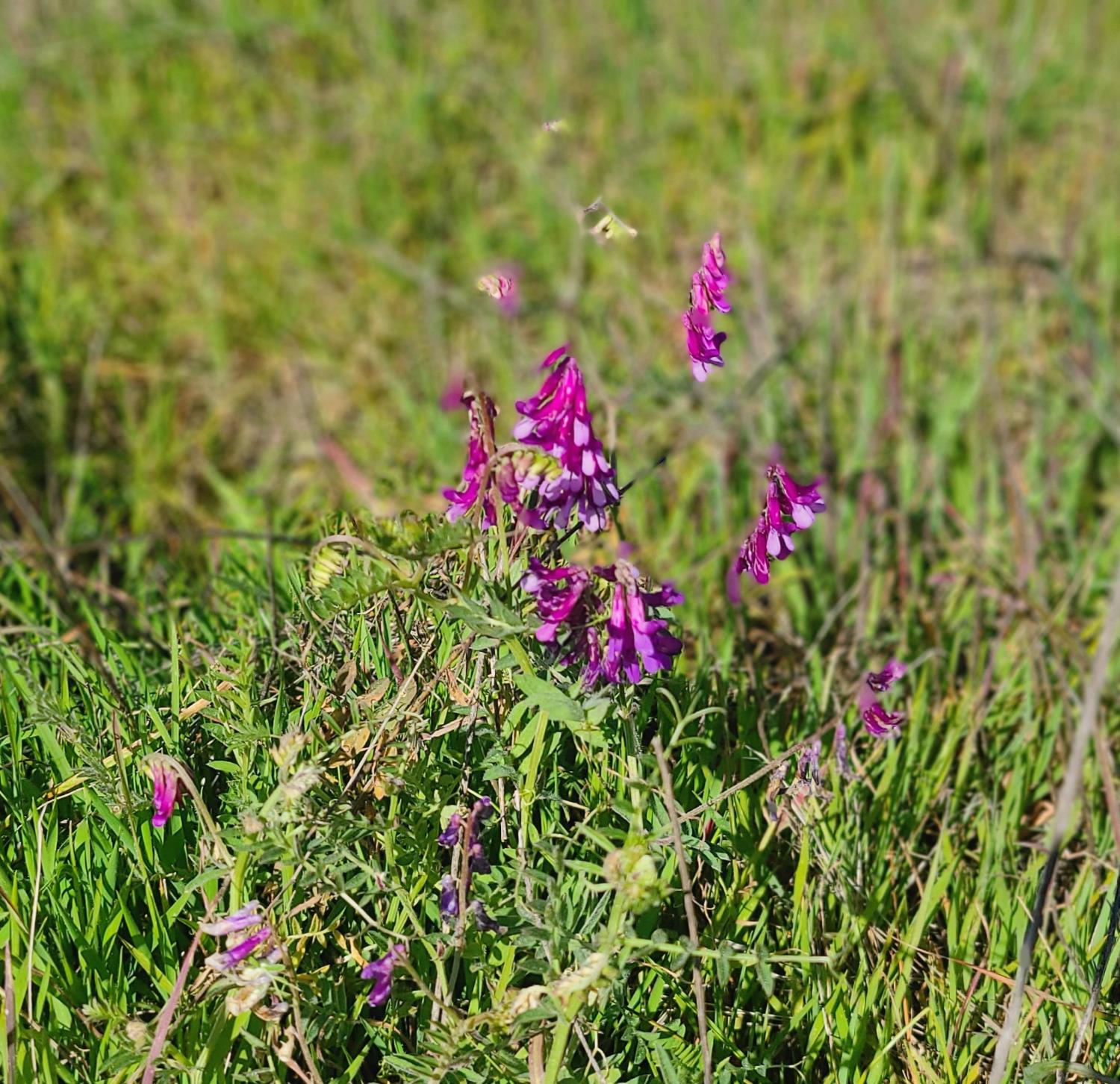 0 Nice Ct, La Grange, CA 95329