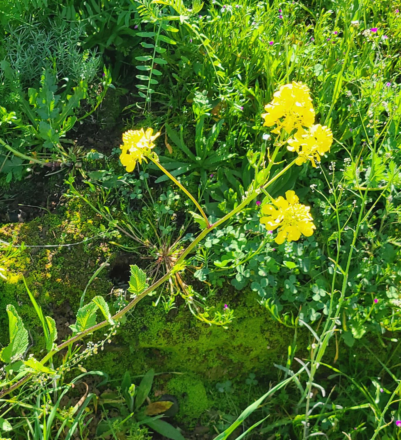 0 Nice Ct, La Grange, CA 95329