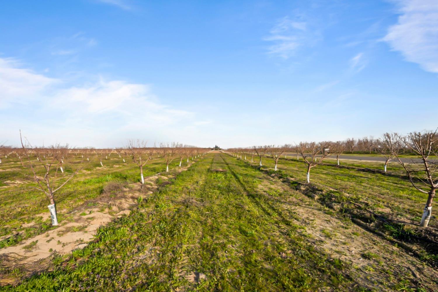 14926 Peach Ave, Livingston, CA 95334