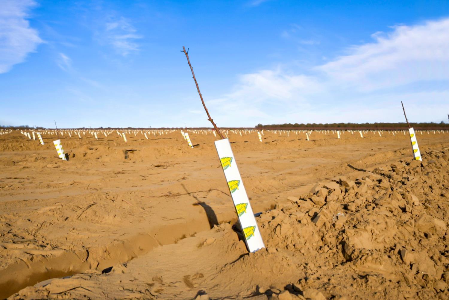 14926 Peach Ave, Livingston, CA 95334