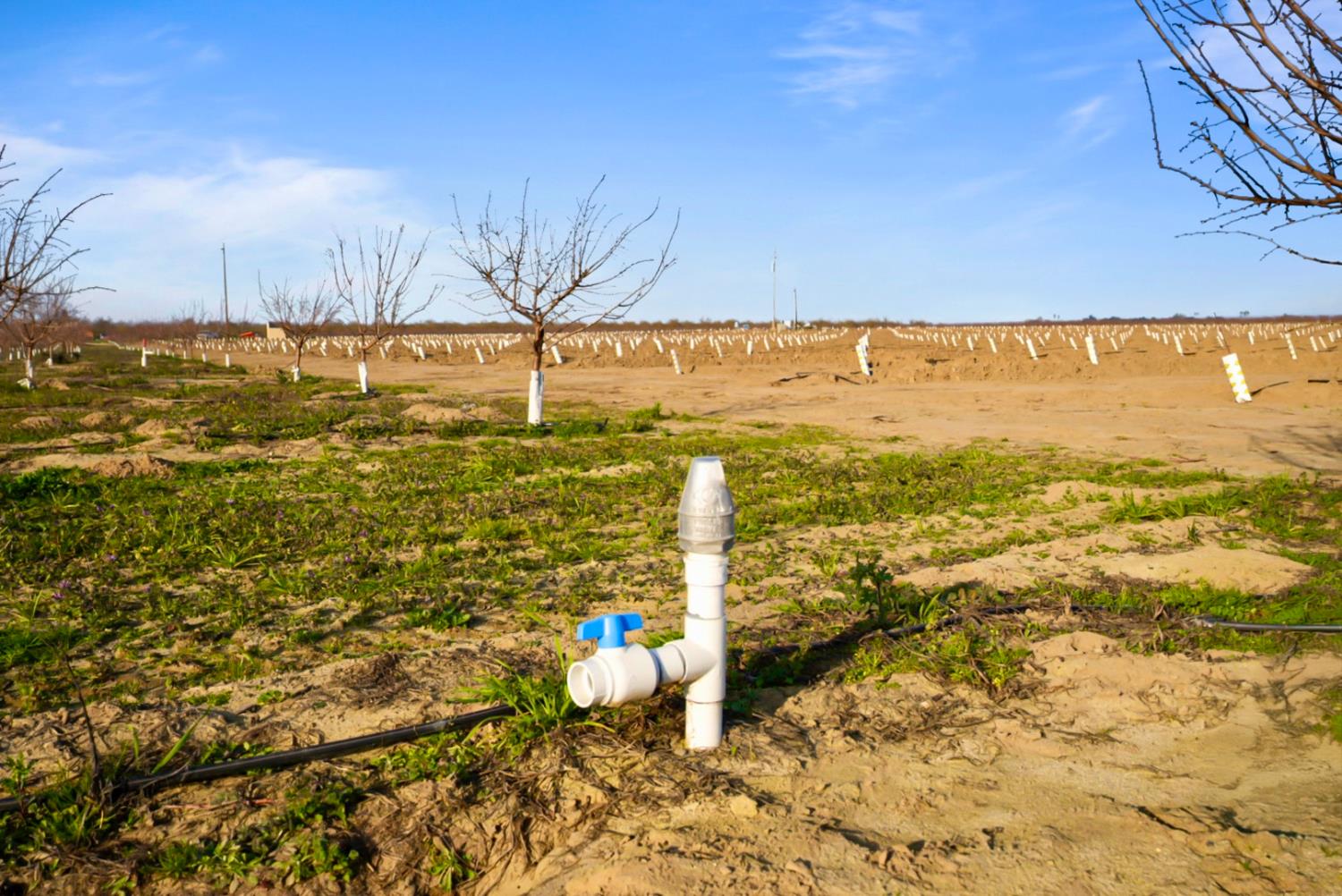 14926 Peach Ave, Livingston, CA 95334