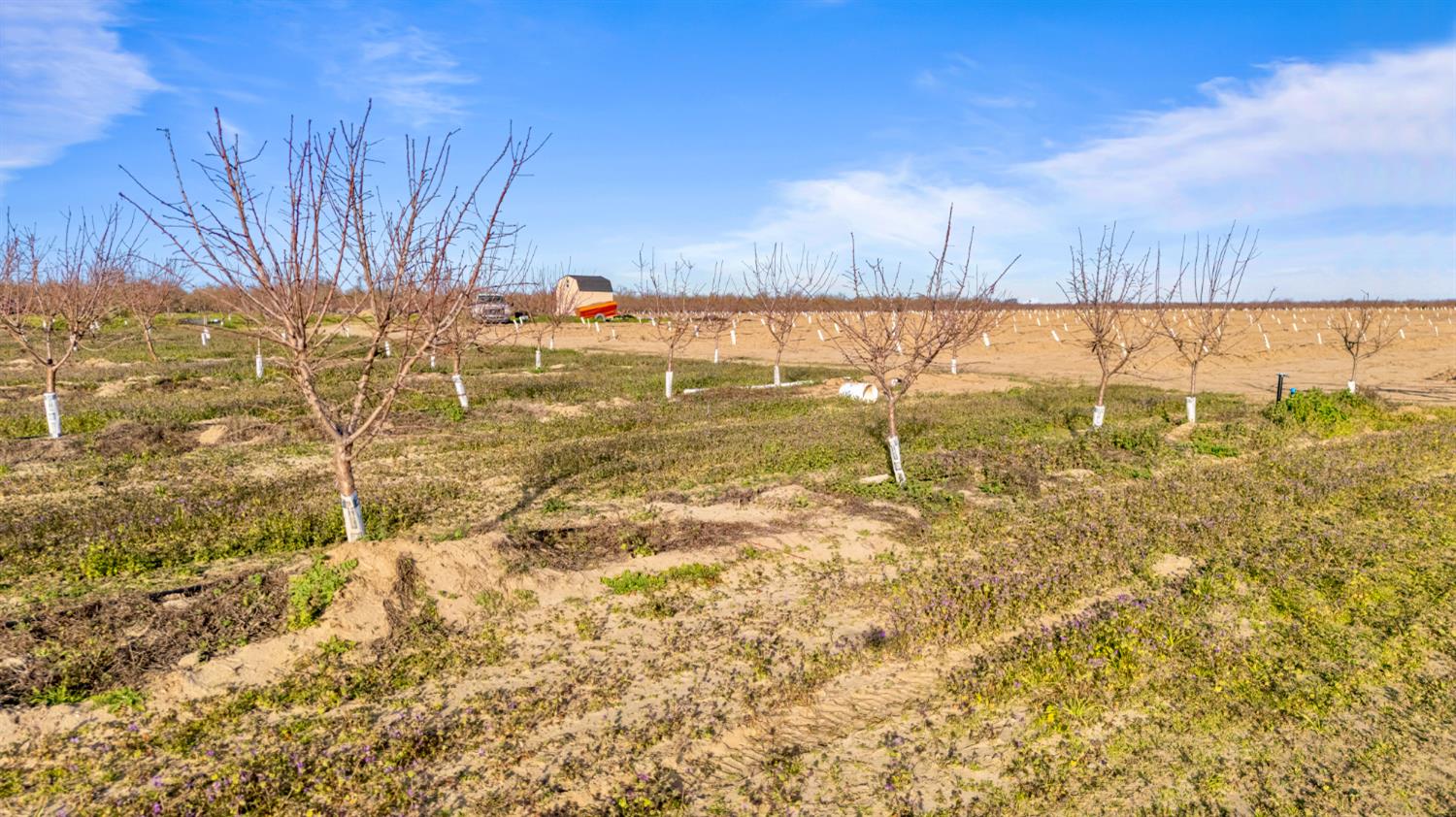 14926 Peach Ave, Livingston, CA 95334