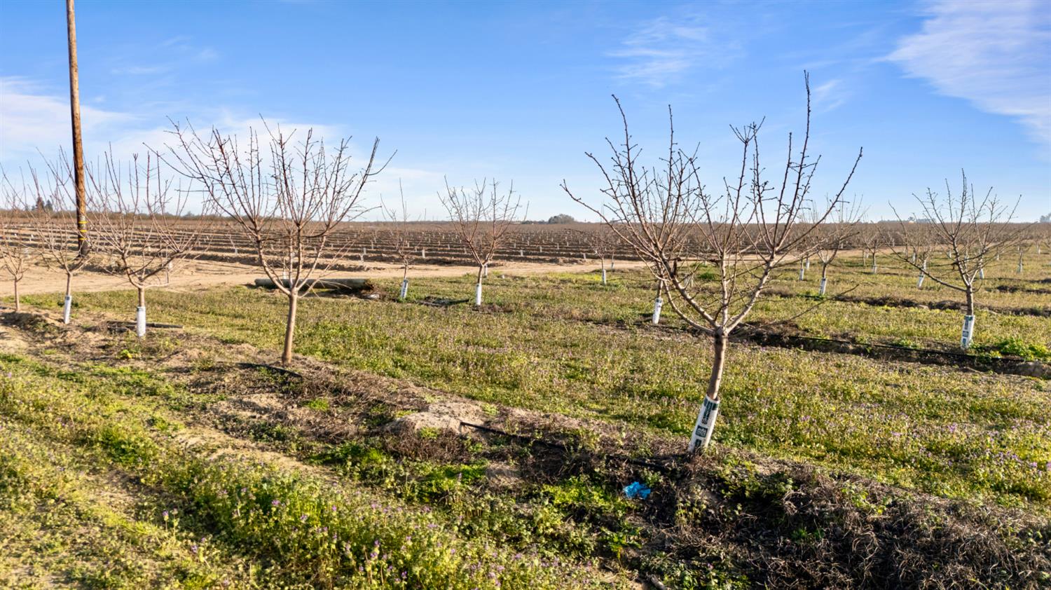 14926 Peach Ave, Livingston, CA 95334