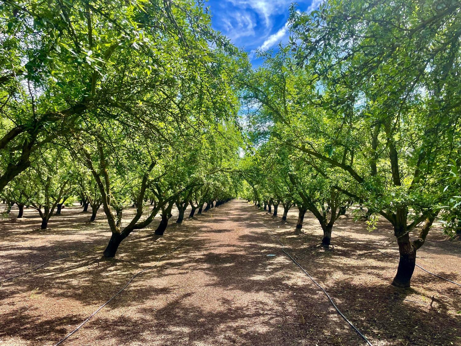 0 Blue Gum Ave, Modesto, CA 95358