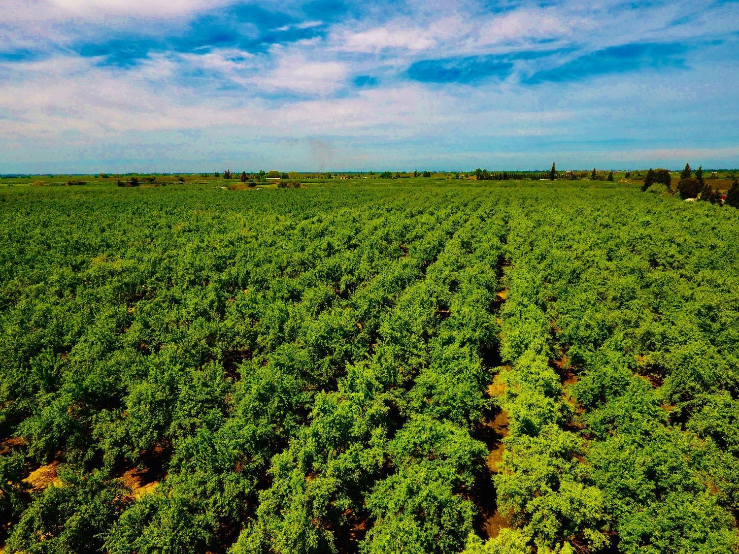 0 Blue Gum Ave, Modesto, CA 95358