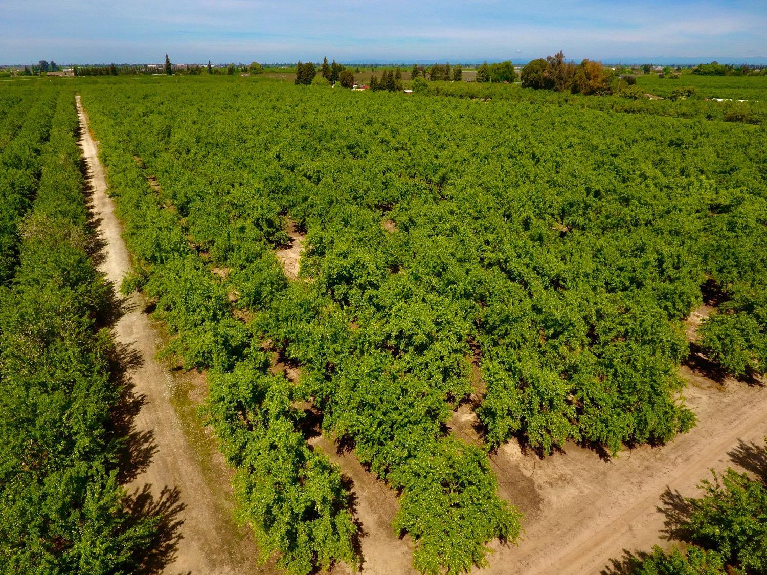 0 Blue Gum Ave, Modesto, CA 95358