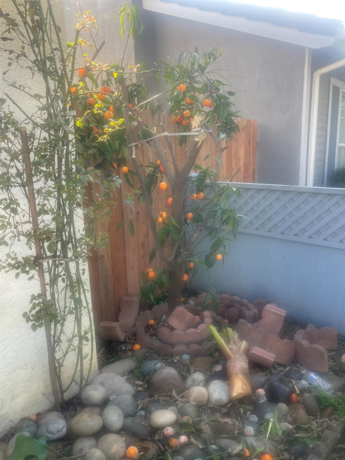 3520 HALLSBORO Ct, Modesto, CA 95357