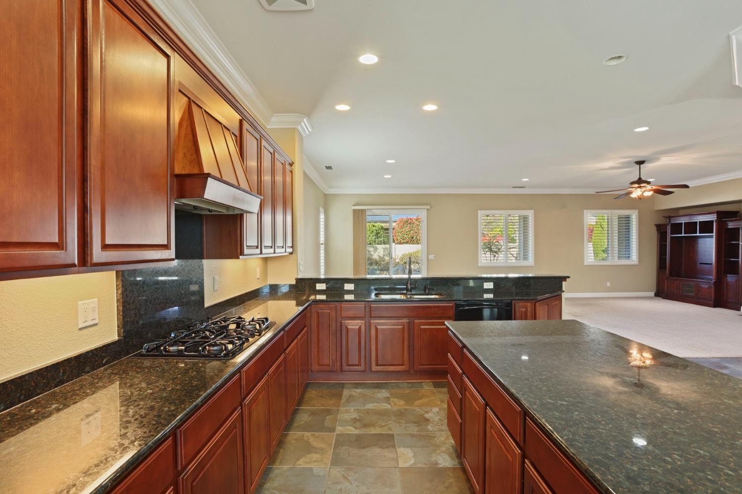 2439 Appleleaf Ln, Manteca, CA 95336